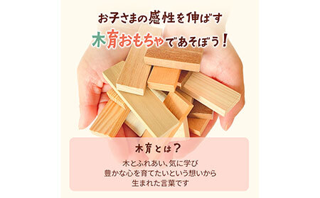 E25-001 森のドミノさん