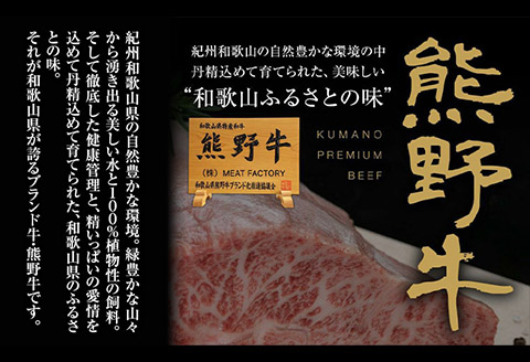 熊野牛ステーキバラエティセットミニ(粉山椒付き)澤株式会社約550g《90日以内に出荷予定(土日祝除く)》うし牛肉ステーキ---wsh_fswkksvm_90d_22_29000_550g---