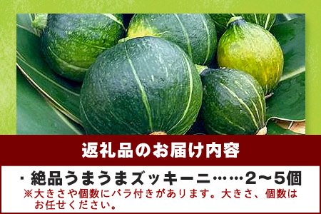 希少！「特大うまうまズッキーニ」農薬を使わず、特許製法のシリカ水で栽培する特別な野菜 11月～3月順次発送【 沖縄 石垣 石垣島 希少 丸形 丸型 だるま型 ズッキーニ 低糖質 野菜 採れたて フレッ