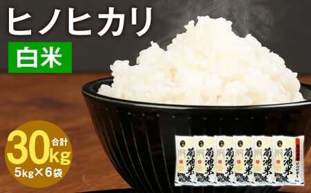 熊本県菊池産 ヒノヒカリ 5kg×6袋 計30kg 精米 お米 白米 令和6年産《30日以内に出荷予定(土日祝除く)》