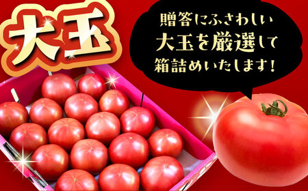 【先行予約】 大玉トマト 2種 詰合せ 4kg [AUAH013]大玉トマト