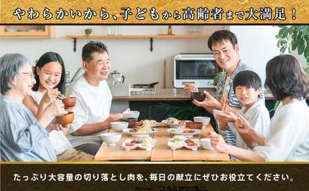 【ふるさと納税】沖縄あぐー豚 切り落とし 2.5kg