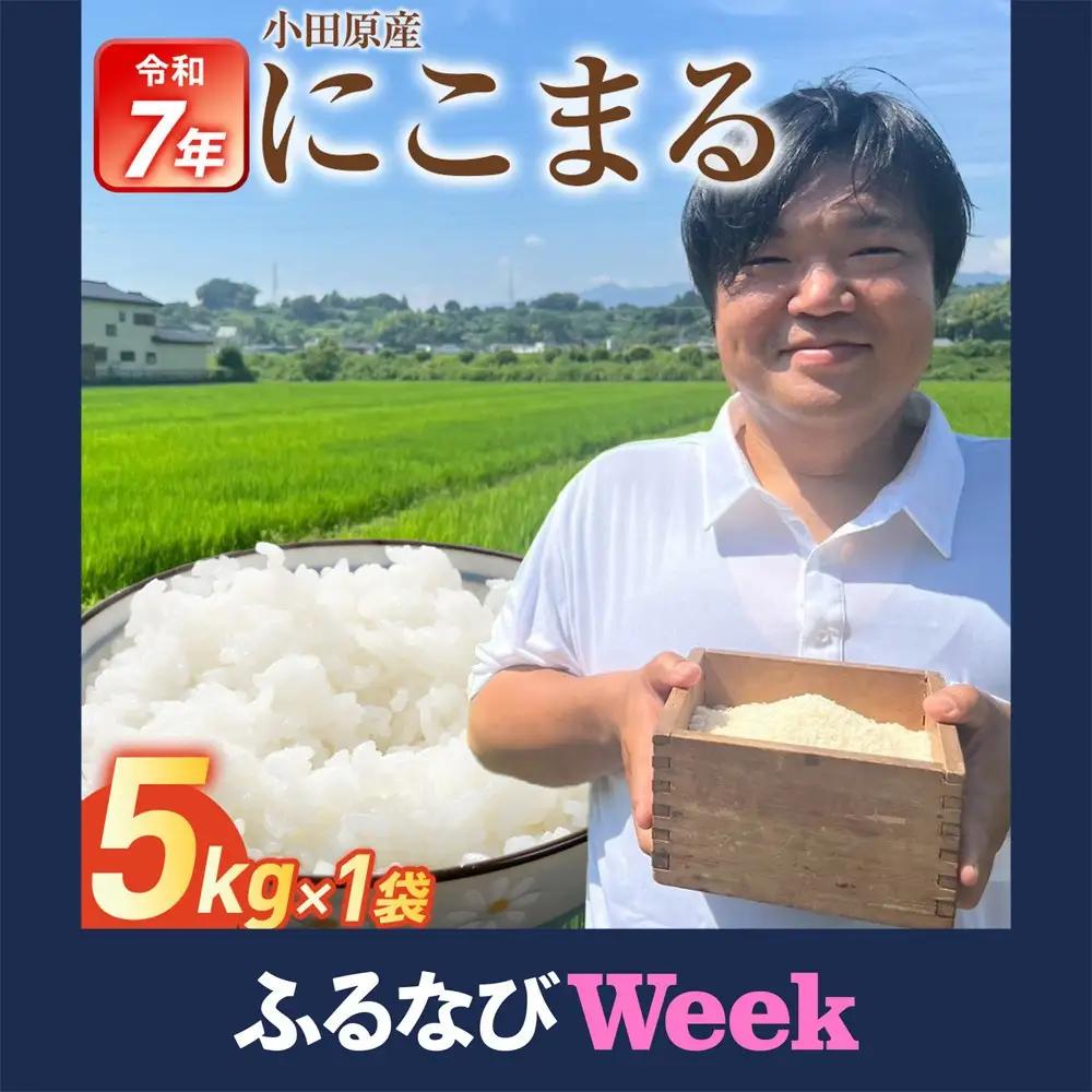 【ふるなびWEEK対象】令和7年産　富水米　精米　5kg　にこまる
