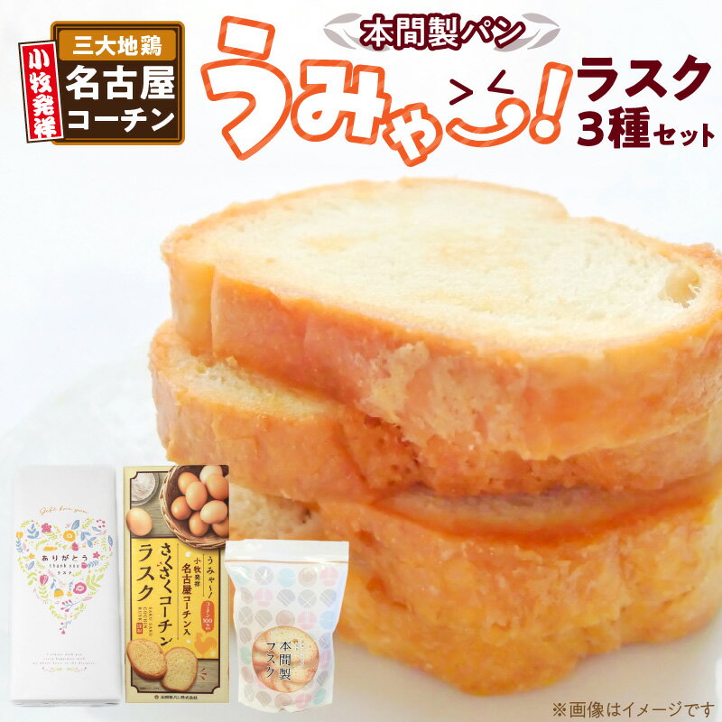 【ふるさと納税】本間製パン うみゃ～！ラスクセット 特製 ラスク 3種 名古屋コーチン たまご 100% 濃厚 プレーン 甘い スイーツ デザート おやつ 可愛い パッケージ お土産 贈り物 厳選素材 国産発酵バター シンプル 愛知県 小牧市 お取り寄せ 送料無料