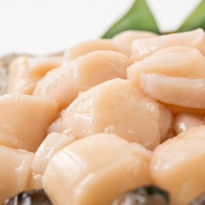 15-312 【お中元】大粒！冷凍帆立貝柱500ｇ×2(計1kg)