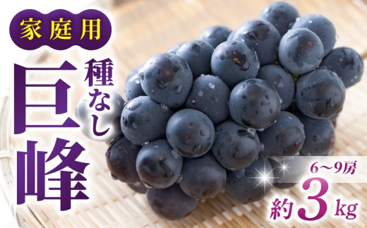 【先行受付2026年発送】【さとのみ果樹園】家庭用種なし巨峰　約3kg（6～9房）※2026年9月上旬以降順次発送