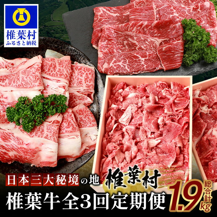 【ふるさと納税】お試し定期便 【 定期便 3回 】 総重量 1,900g 牛肉 椎葉牛の スライス肉 ＆ 切り落とし肉 定期便 椎葉村 黒毛和牛 | 牛肉 定期便 肉 精肉 スライス肉 切り落とし肉 A5等級指定 黒毛和牛 ブランド牛 おすすめ 送料無料 | TK-100