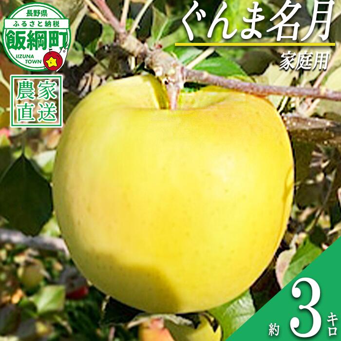 【ふるさと納税】 りんご ぐんま名月 家庭用 3kg ファームトヤ 沖縄県への配送不可 令和8年度収穫分 長野県 飯綱町 〔 信州 果物 フルーツ リンゴ 林檎 名月 長野 14000円 予約 農家直送 〕発送時期：2026年11月中旬〜2026年12月下旬 {**}