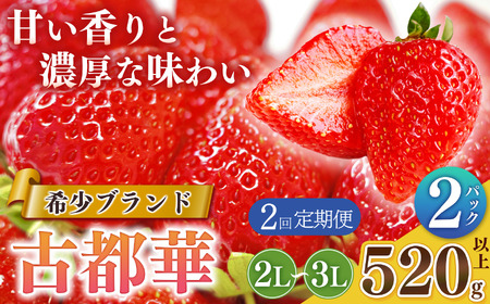 【定期便2回】平群の古都華 2L～3Lサイズ 2パック | フルーツ いちご 古都華 先行予約 奈良県 平群町