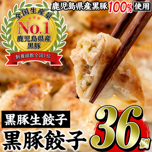 No.1327-n 鹿児島黒豚使用の黒豚生餃子(計36個・12個入り×3パック) 国産 九州産 ぎょうざ 冷凍 黒豚 豚肉 お肉 おかず【末永商店】