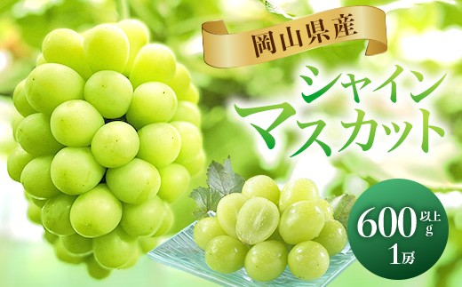 
                  74-25 秋のシャインマスカット1房（600g以上）
                