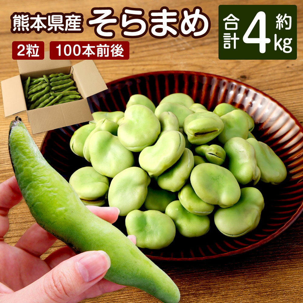 【ふるさと納税】熊本県産 そらまめ 約4kg 1さや2粒 100本前後 そら豆 ソラマメ 空豆 豆 野菜 やさい ベジタブル ゆでまめ おつまみ 国産 九州産 水俣市産 送料無料【2026年4月上旬‐4月下旬迄発送予定】