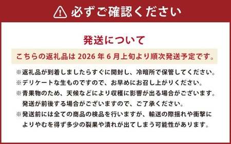 熊本県産 小玉すいか 2玉 合計3kg以上 【2026年6月上旬発送開始】 すいか スイカ 西瓜 くだもの 果物 フルーツ 国産