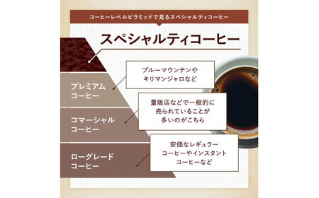 【頒布会・3ヶ月】【粉】 スペシャルティコーヒー 焙煎士のおすすめコーヒー豆 3種類コース 150g×3種類コース（ 3ヶ月）　コーヒー　コーヒー豆　コーヒー　コーヒー豆　コーヒー　コーヒー豆　コーヒ