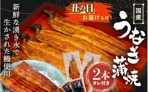 【土用の丑の日までにお届け】国産うなぎ蒲焼（２本）タレ付き /  和歌山 田辺市 国産 国産うなぎ 国産鰻 うなぎ 鰻 鰻丼 うな丼 土用の丑の日【ots016-dy】