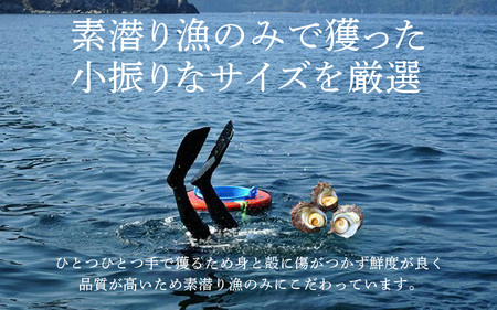 大人気☆ 若狭湾の素潜り 天然 サザエ 約8～12個 約700g (350g × 2P) 活サザエをそのままボイルしました！【サザエ さざえ 貝 海産物 刺身 お造り 海の幸 BBQ つぼ焼き 壺焼き