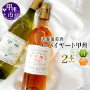 【ふるさと納税】 ワイン 飲み比べ 2本 セット 山梨県産 日本ワイン 白ワイン オレンジワイン ルバイヤート 甲州 GI Yamanashi 酒 勝沼 丸藤葡萄酒 母の日 父の日 記念日 ギフト 甲州市 山梨県 (MG) 【B2-673】