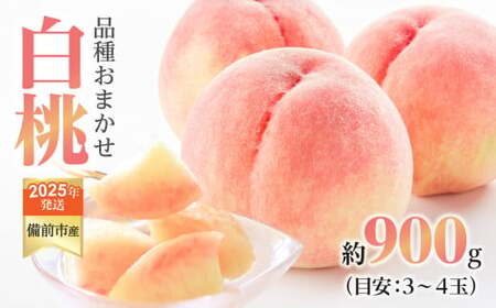 桃 もも モモ びぜん白桃 早生4品種のうち1品種 約900g 【2025年発送/2025年6月下旬～7月初旬頃発送予定】 【 岡山県備前市産 桃 もも モモ 白桃 はくとう ハクトウ 桃 果物 フルーツ 約900g 早生 桃 ﾓﾓ 約0.9kg 】