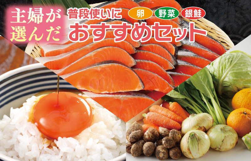 主婦が選んだ 普段使いにおすすめセット（銀鮭 切り身 たまご 野菜）【別送 大阪 泉佐野 大阪府 泉佐野市】