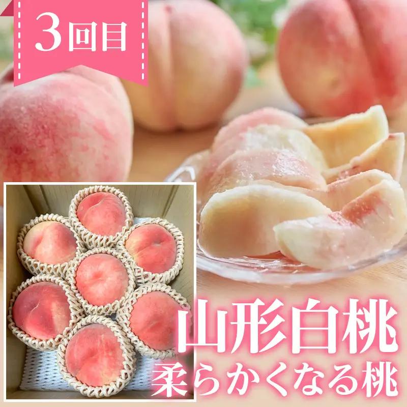 【定期便4回】ノノハナフルーツ 笑顔花咲く定期便 FY26-233