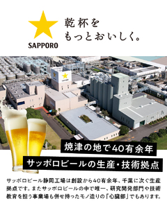 T0046-1612　【定期便12回】エビスプレミアムエール350ml缶×1箱（24本）【定期便】
