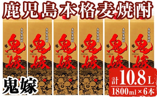
										
										岩川醸造 本格麦焼酎 鬼嫁〈麦〉(計10.8L・1800ml×6本) 麦焼酎 お酒 セット【大隅家】A436-v01
									