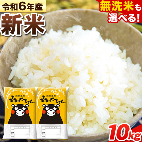 令和6年産 新米 無洗米 も 選べる 森のくまさん 10kg 5kg × 2袋  白米 熊本県産 単一原料米 森くま《7-14営業日以内に出荷予定(土日祝除く)》《精米方法をお選びください》送料無料