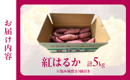 先行予約!!　別府産　蜜いも「紅はるか」5kg_B188-002-02