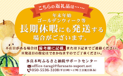 肥後グリーン メロン 計4玉 (2玉入り×2箱)