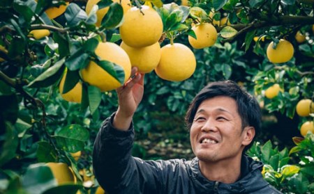 松岡農園 土佐文旦 10kg 家庭用 文旦