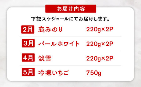 【10月1日金額改定予定！】【先行予約】【全4回定期便】希少いちご（恋みのり・パールホワイト・淡雪・冷凍いちご）食べ比べ定期便 / いちご イチゴ 苺 果物 フルーツ 定期便 / 佐賀県ふるさと納税 