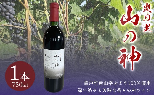 山の神 赤ワイン 1本 【ふるさと納税 人気 おすすめ ランキング ワイン 赤ワイン マイルド 飲みやすい 地域密着 復活 北海道 置戸町 おけとちょう】 OTI001