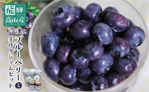 
                  治助ファームの北部ハイブッシュブルーベリー「冷凍果実」210g×2袋と手作りジャム110g×2個セット | 国産 ブルーベリー ジャム フルーツ おやつ 製菓 冷凍 くだもの 果物 冷凍フルーツ 飛騨高山 治助ファーム LJ006VP
                