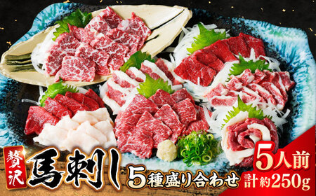 馬刺し 5種 盛り合わせセット 5人前 約250g 熊本直送 赤身馬刺し 馬刺し 熊本馬刺し 馬刺し堪能 【株式会社 Foody’s】[AYAT011]