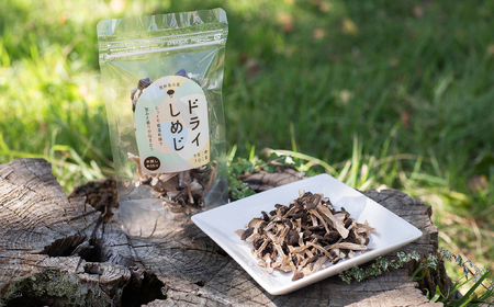  ＼ ドライぶなしめじ ／ 20g　1袋 （Bz-001）