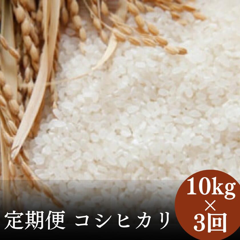 【ふるさと納税】【3か月定期便】令和7年産 茨城県 常陸太田市産 コシヒカリ10kg (全3回) | 茨城県 常陸太田市 お米 白米 精米 地元産 コシヒカリ ブランド米 ツヤツヤ もっちり ふっくら 甘み 柔らかい 美味しい ご飯 おむすび お弁当 和食 お取り寄せ プレゼント 贈答