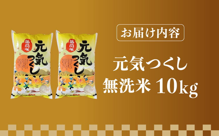 【令和5年産】福岡県産ブランド米「元気つくし」無洗米 10kg (5kg×2袋)《築上町》【株式会社ゼロプラス】 [ABDD004] お米 白ご飯 夢つくし ブランド米 おにぎり
