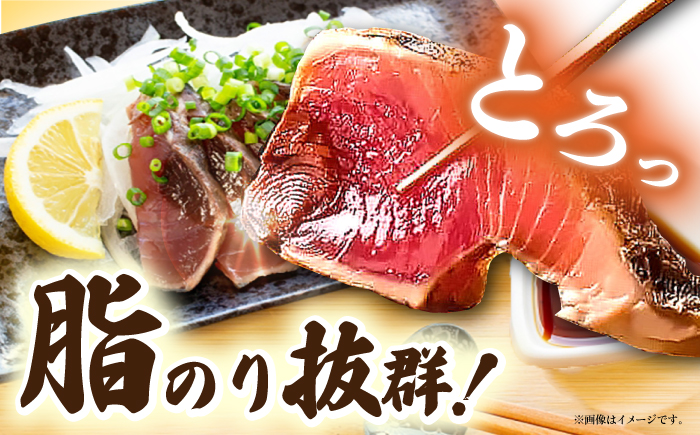黒潮の赤い宝玉 本場土佐の『鰹の藁やきたたき』1.5節~2節 約700g かつお 鰹 藁焼き カツオ 高知 ワラ 美味しい 【有限会社 蔵多堂】 [ATAE001]
