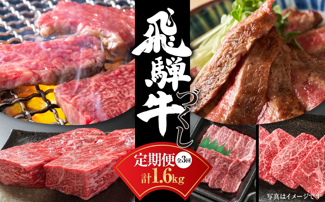 
定期便】飛騨牛（全３回）（ステーキ /焼肉 / ブロック[塊] ) 計1.6kg 全3回 | 焼肉 ステーキ カルビ 牛 定期 飛騨高山ミート [MZ101]
