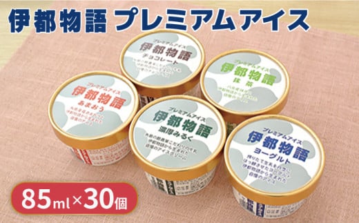 伊都物語 プレミアム アイス 5種 30個セット(みるく6個、ヨーグルト6個、あまおう6個、抹茶6個、チョコレート6個)《糸島》【糸島みるくぷらんと】[AFB009] アイス クリーム ミルク ギフト 詰め合わせ 送料無料