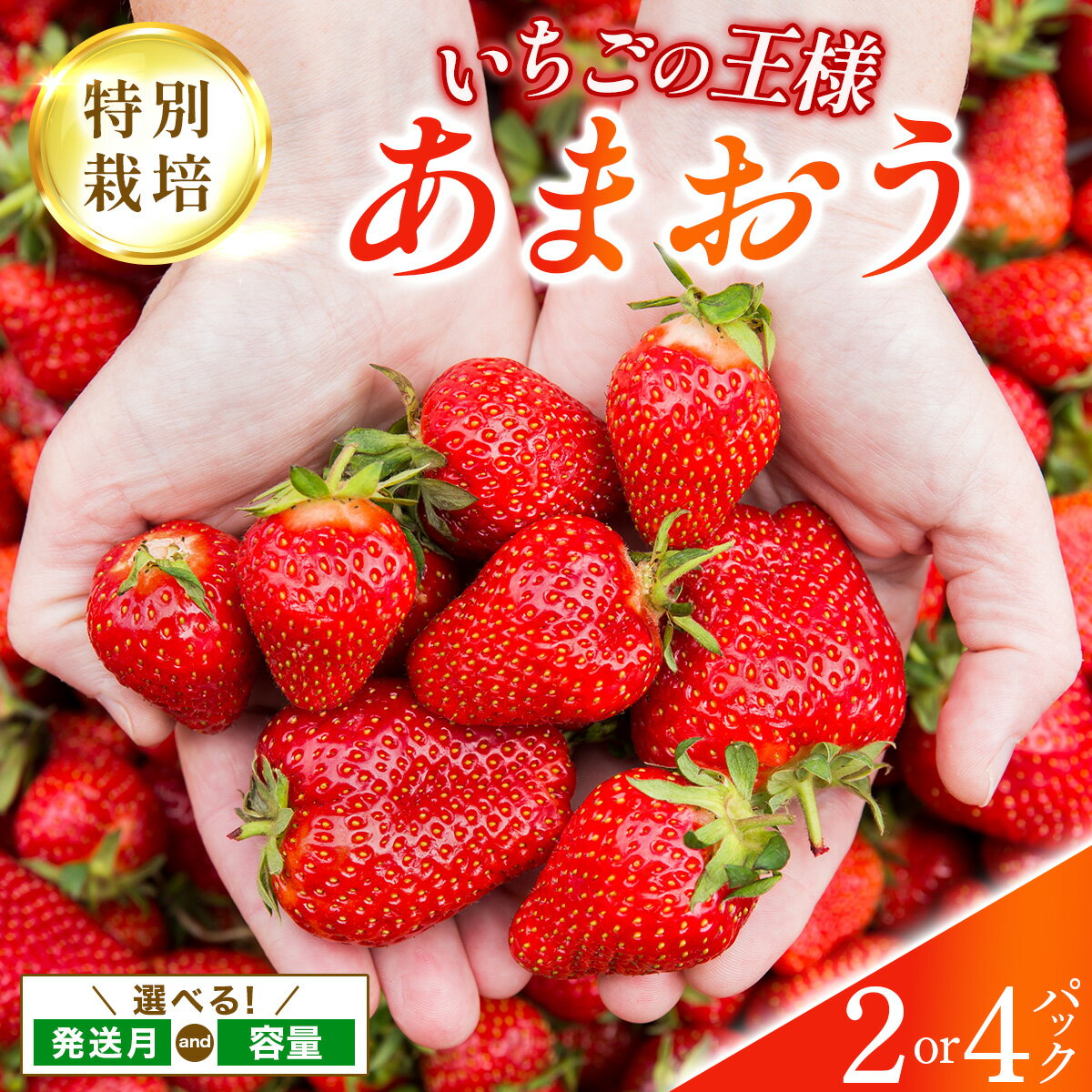 【ふるさと納税】【選べる内容量】福岡県産 特別栽培 あまおう サイズいろいろMIX またはL~2Lサイズ（少し小ぶりサイズ）約1140g or 約570g【1〜4月発送】　農園直送 アフター保証 先行予約 福岡産 送料無料 ケーキ ギフト お祝い 限定 季節限定