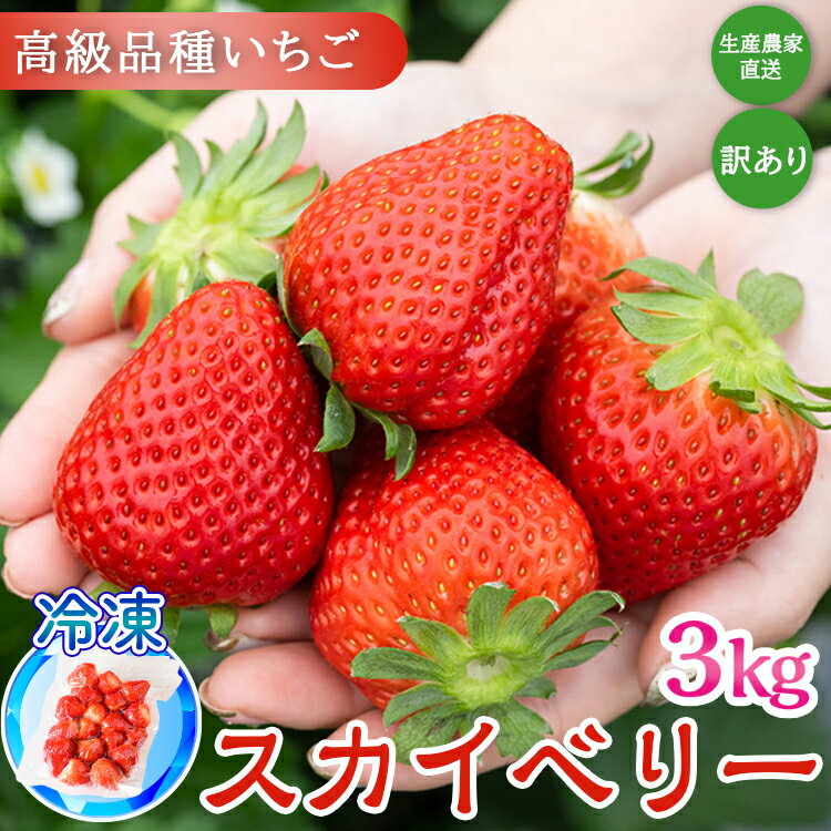 【ふるさと納税】【訳あり】冷凍スカイベリー3kg (500g×6) | 生産者直送 高級品種 無選別訳あり 冷凍 いちご 栃木県壬生町産 果物 フルーツ 苺 イチゴ スムージー ジャム 不揃い