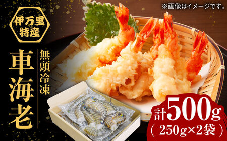 【加熱用】伊万里特産 無頭冷凍クルマエビ（250g×2袋）/ エビ 海老  [41AEAJ008]