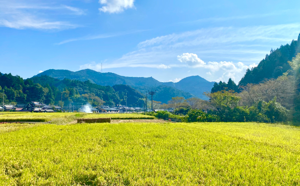四季折々の風景、清々しい空気、清涼な水のある環境で作られる鶴喰米は、身体に優しい返礼品です。