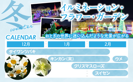 フローランテ宮崎年間パスポート（大人） イベント 自然 入園券