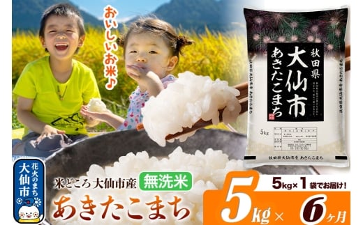 米《定期便6ヶ月》あきたこまち【無洗米】米どころ秋田県大仙市産 あきたこまち5kg（5kg×1袋） [米 お米 こめ 無洗米 精米 あきたこまち ブランド米 通算18回 特A 小分け ご飯 ごはん 米どころ 秋田県産 大仙市]