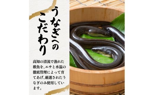 ～四国一小さなまち～ きざみうなぎ蒲焼 80g×18P 約1440g カット済み 蒲焼き かば焼き 鰻 ウナギ ふっくら おいしい おかず お茶漬け 惣菜 養殖 国産 簡単 手軽 調理済み
