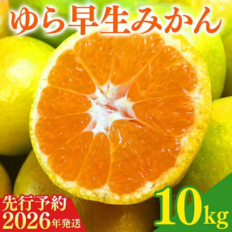 【ふるさと納税】【2026年先行予約】紀州和歌山有田産ゆら早生みかん 10kg