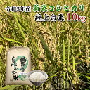 【ふるさと納税】【農家直送/令和5年産新米】長野県産「コシヒカリ」（10kg）（炊飯食味値88点の極上白米）　 お米 精米 ご飯 旨味 甘み 清流 美味しい こだわり 安心 安全 ミネラル たっぷり 人気 　お届け：2023年10月下旬～2024年9月下旬