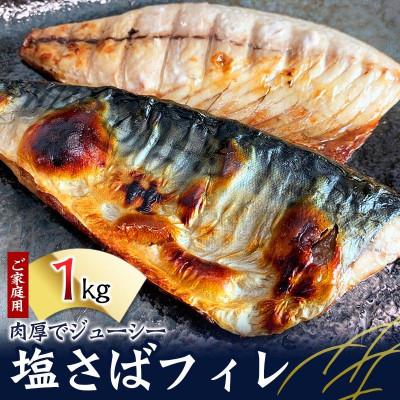ふるさと納税 北山村 【ご家庭用】塩さばフィレ 1kg【uot763B】